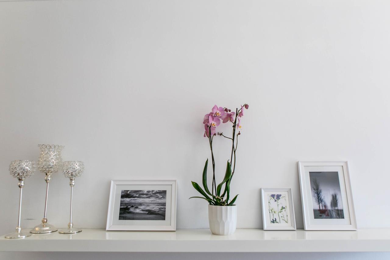 Hayes Bank Bed & Breakfast Ashford  Luaran gambar